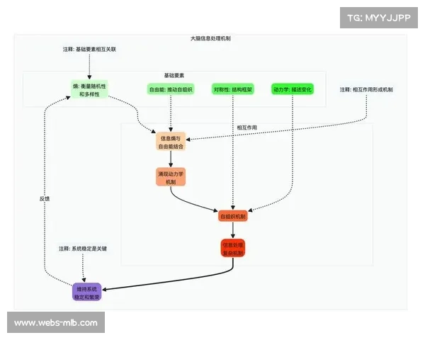 复杂性适应系统理论优化统筹，自组织